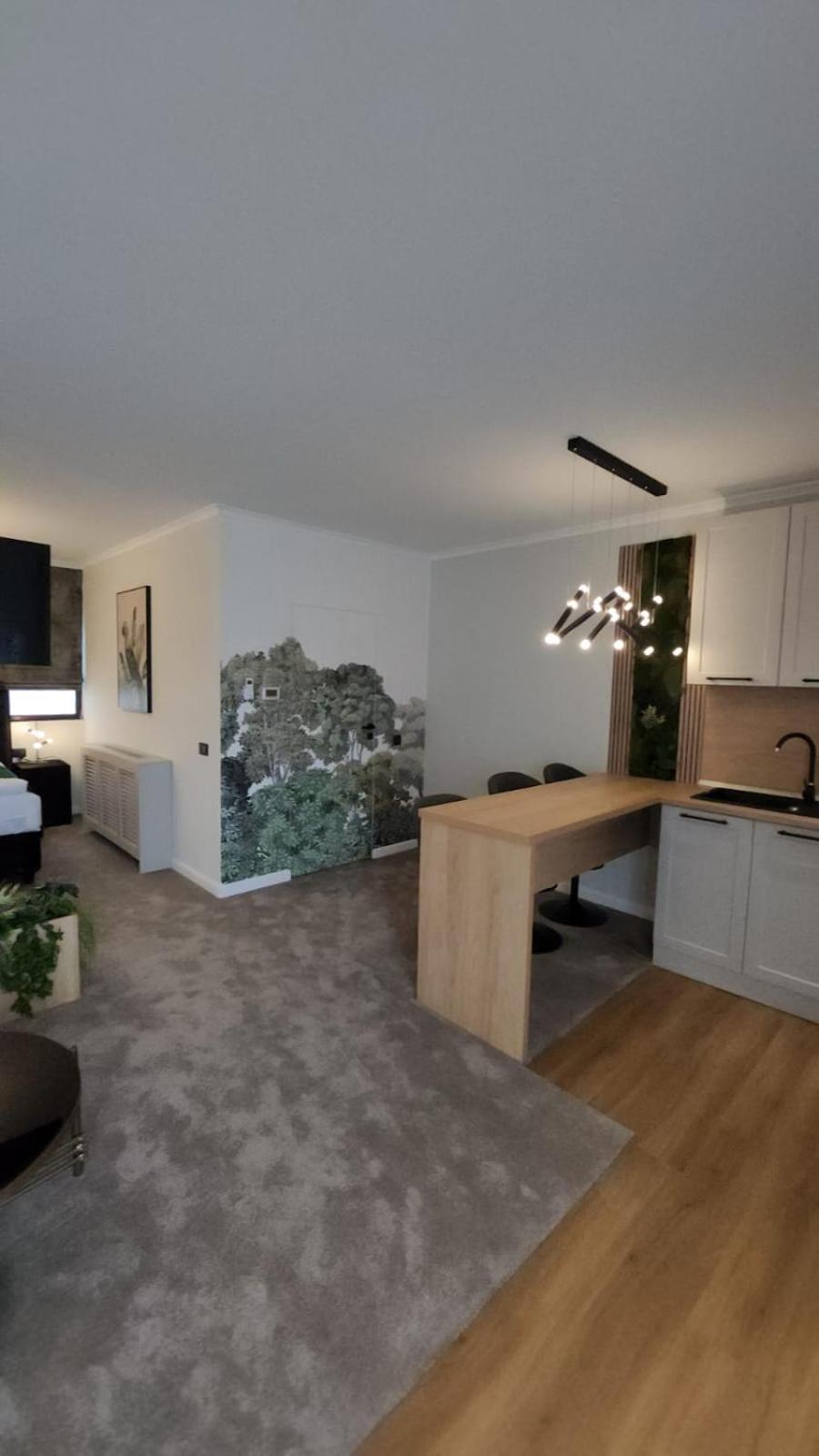 Imperial Studio Sibiu Ngoại thất bức ảnh