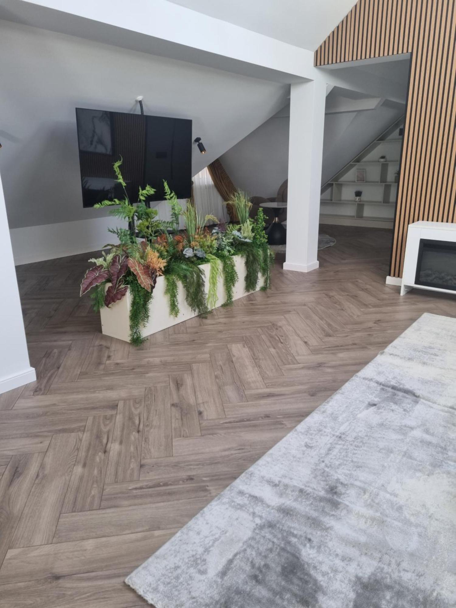 Imperial Studio Sibiu Ngoại thất bức ảnh
